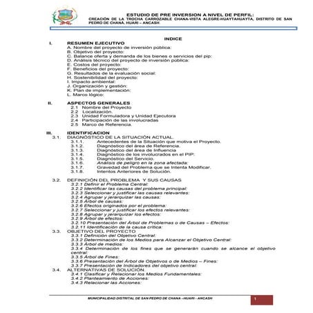 Pip troza carrozable chana