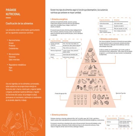 piramide_nutricional_clasificacion_alimentos.pdf