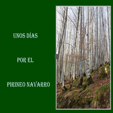 Pirineo navarro