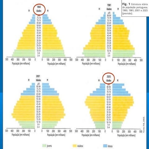 1.1 - A população: evolução e diferenças regionais