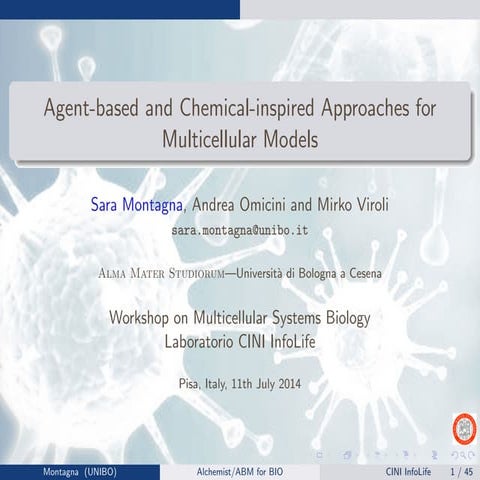 Agent-based and Chemical-inspired Approaches for Multicellular Models