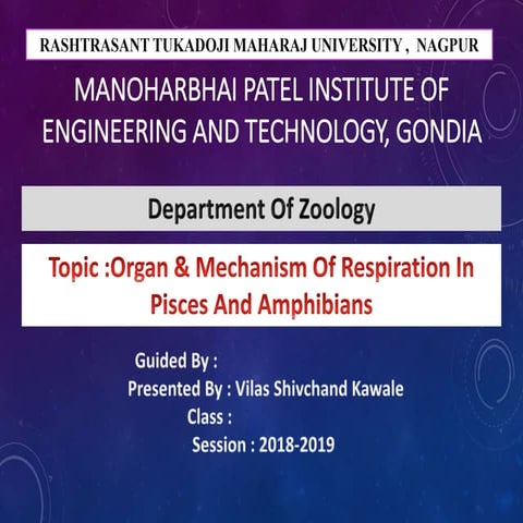Presentation on Organ & Mechanism of Respiration in Pisces And Amphibians