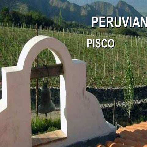 Pisco ing.. PPT