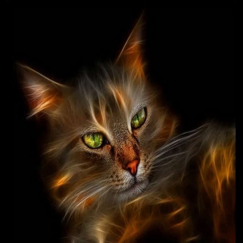 Pis pis | www.mototol.ro |