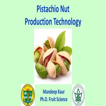 Pistachio nut | PPTX