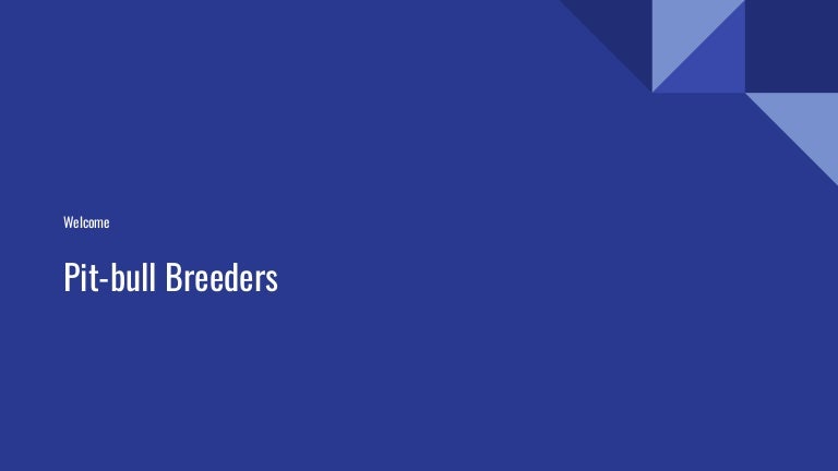 find pitbull puppies for sale