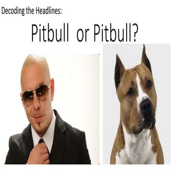 Pitbull Rapper Tenner
