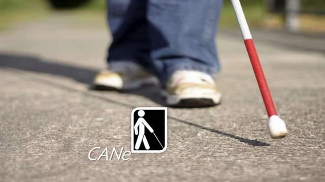 CANe