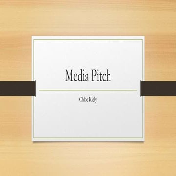 Media Pitch