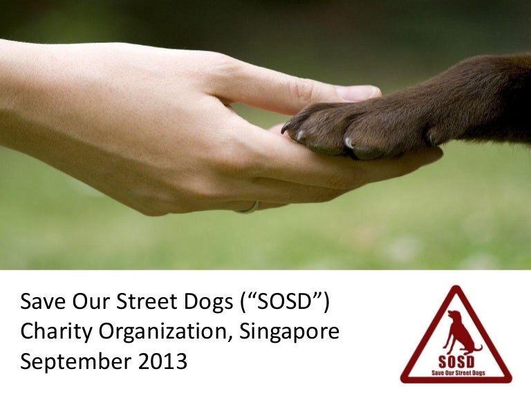 save street dogs
