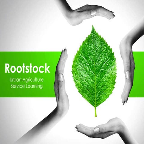 Rootstock Pitch Deck (v1)