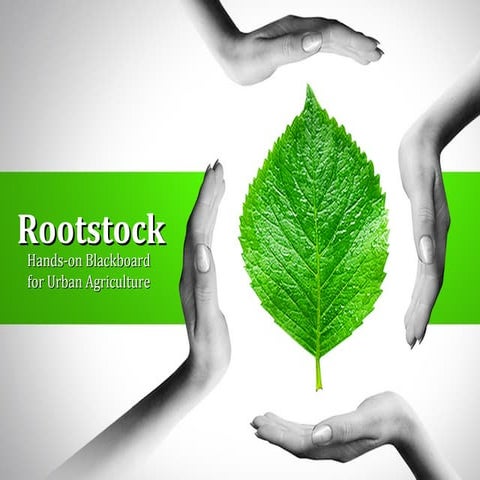 Rootstock Pitch Deck v3