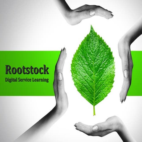 Rootstock: Local Community Service Goes Global