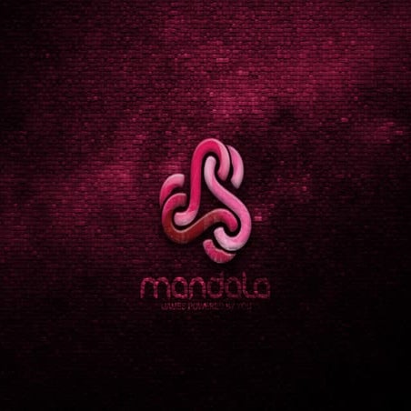 The social games market