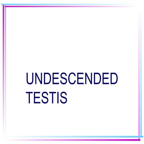 undescended testis