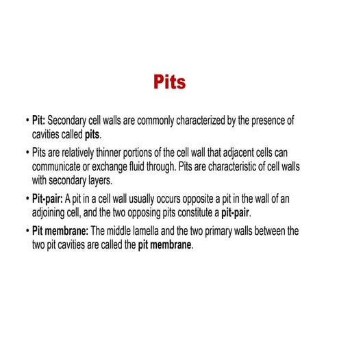 Pits & plasmodesmata | PPTX
