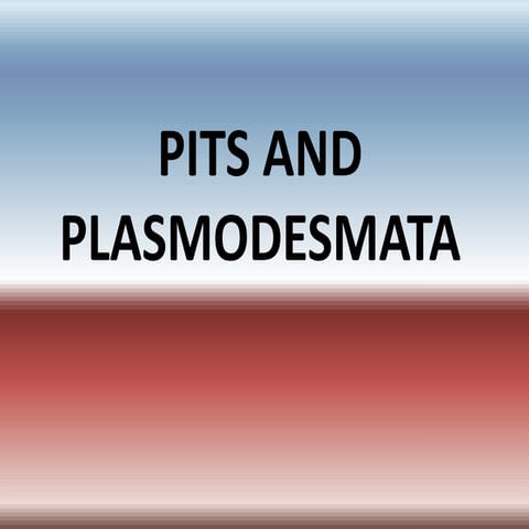 Pits &amp; plasmodesmata