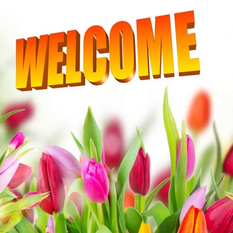 Introduction to Pitta Dosa in Ayurveda