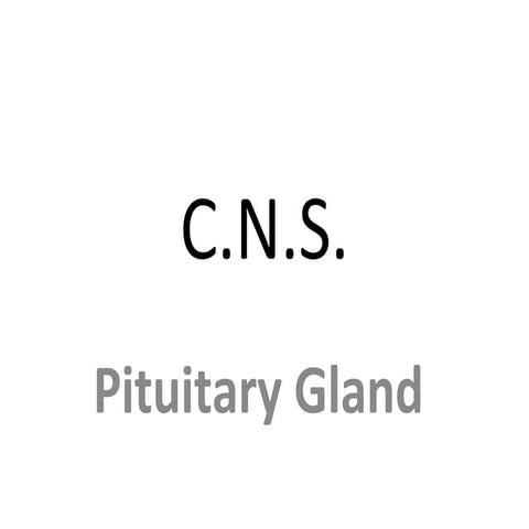 Diagnostic Imaging of the Pituitary Gland