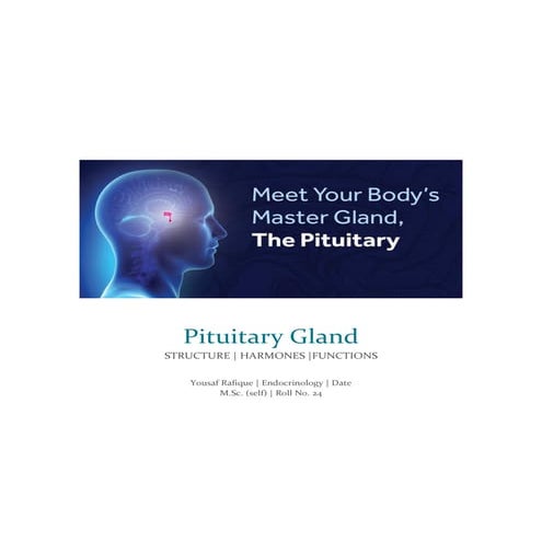 Pituitary Gland, its Hormones and Functions