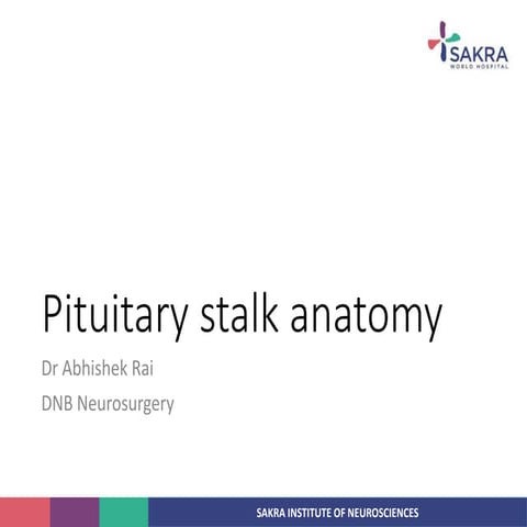 Anatomy of Pituitary  