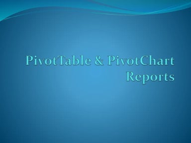 MS Excel Pivot Table Reports & Charts