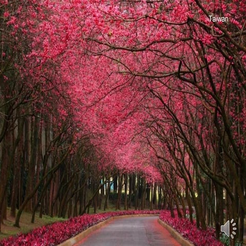 Splendide location nel mondo