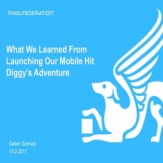 Gábor Szénási, Pixel Federation