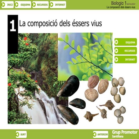 Composició Éssers Vius