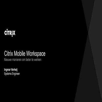 Pizzasessie SSO en Thin Clients: presentatie Citrix