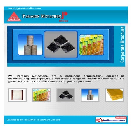 Paragon Metachem, Mumbai , Industrial Chemicals | PDF