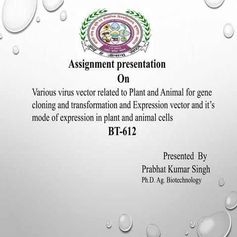 Various virus vector related to Plant and Animal for gene cloning and transfo...