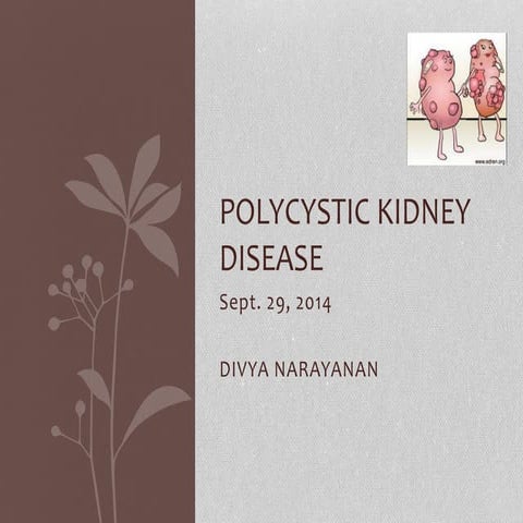 Polycystic Kidney Disease