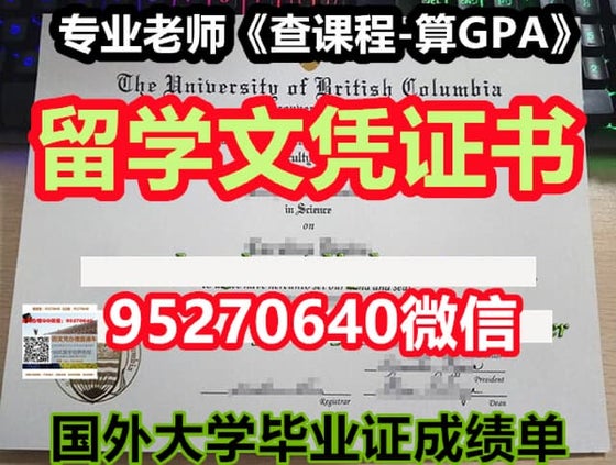 UMN毕业证 | PPT