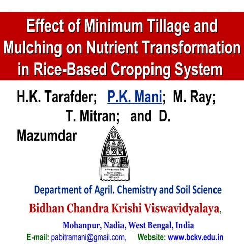 Effect of minimum tillage and Mulching on nutrient Transformation in rice bas...