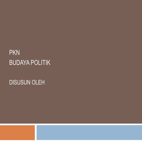 Pendidikan kewarganegaraan (budaya politik)