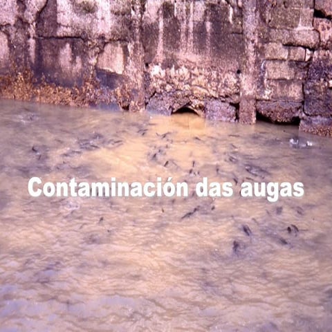 Contaminacion das augas