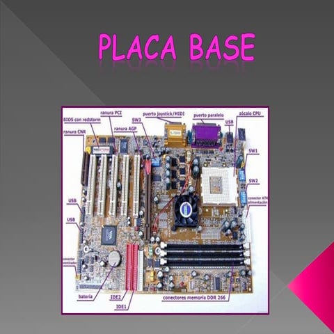 Placa base