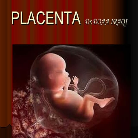 Placenta ultrasound