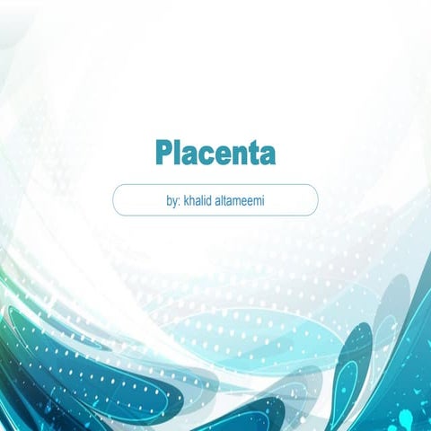 placenta 
