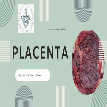 Histologia Da Placenta | PPT
