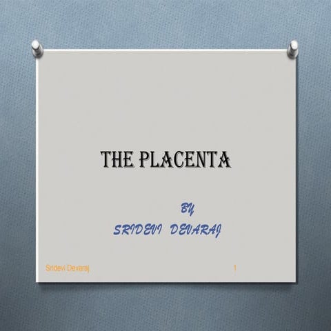 Placenta   