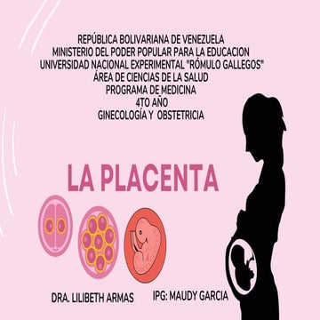 Comprehensive Overview of Placenta Development and Function in Human ...