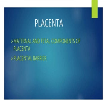 PLACENTA FORMATION,STRUCTURE, APPLIED IMPORTANCE.ppt