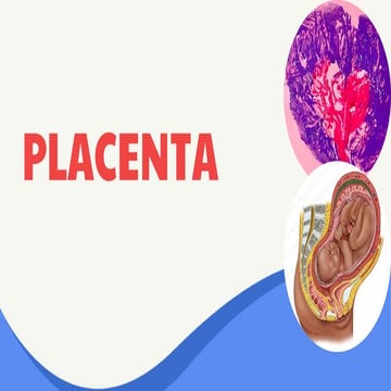 DESCRIPCION DE LA PLACENTA PPT.pptx