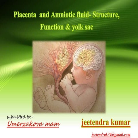 Placenta yolk sac and amniotic_fluid_structure_function