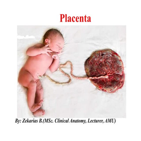 Placenta Development ppt  By Zeki PH 2016.pptx