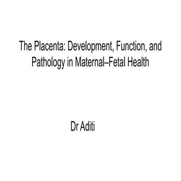 Comprehensive Overview of Placenta: Structure, Function, and Clinical ...