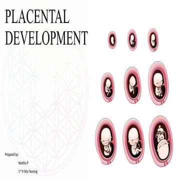 Placental development