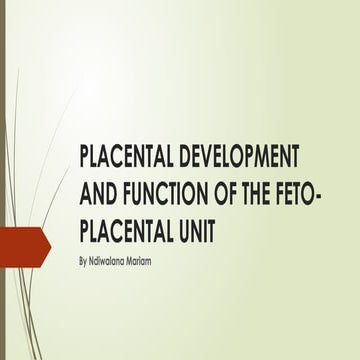 Comprehensive Overview of Placental Development and Fetoplacental ...
